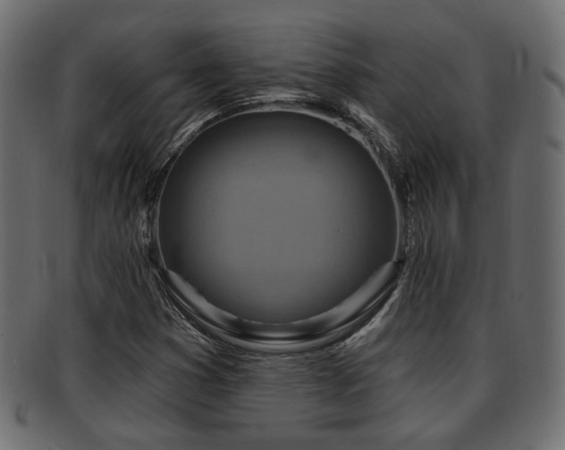 X0000093251353200709261711