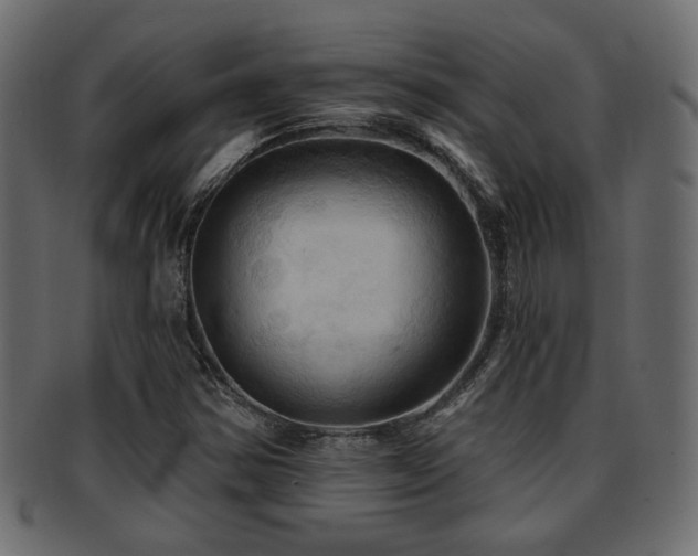 X0000093251354200709261711