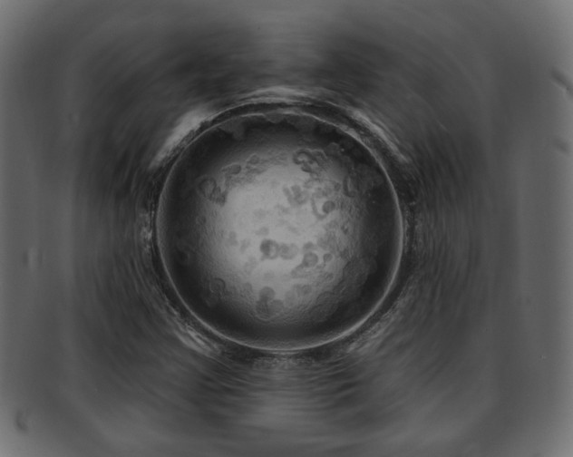 X0000093251355200709261711