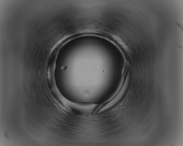 X0000093251356200709261711