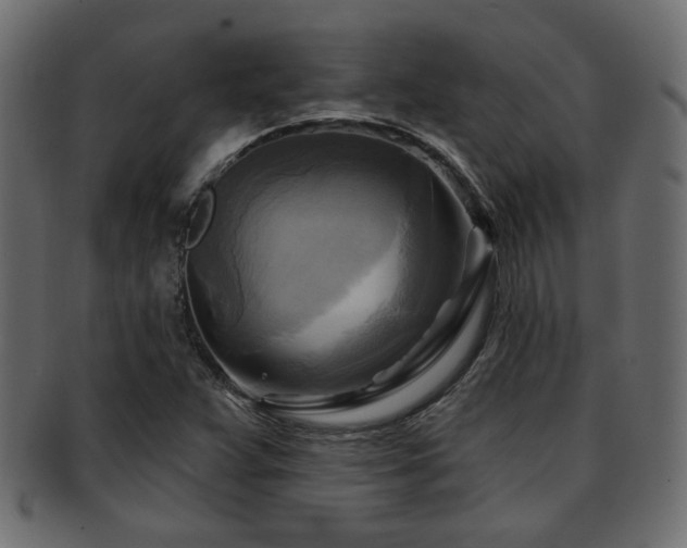 X0000093251359200709261711