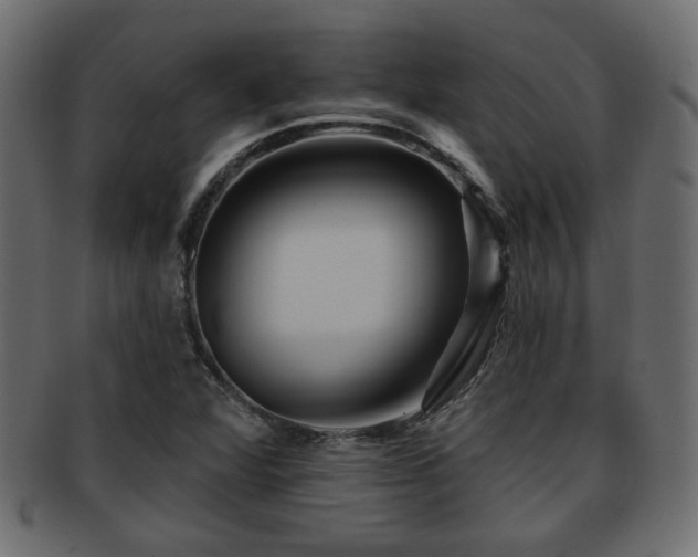 X0000093251360200709261711