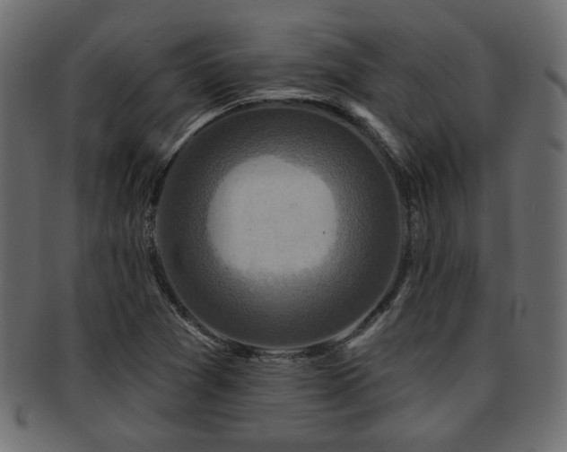 X0000093251361200709261711