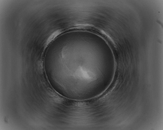 X0000093251362200709261711