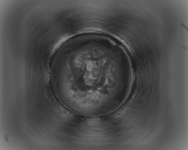 X0000093251363200709261711