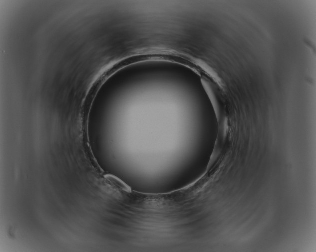 X0000093251364200709261711