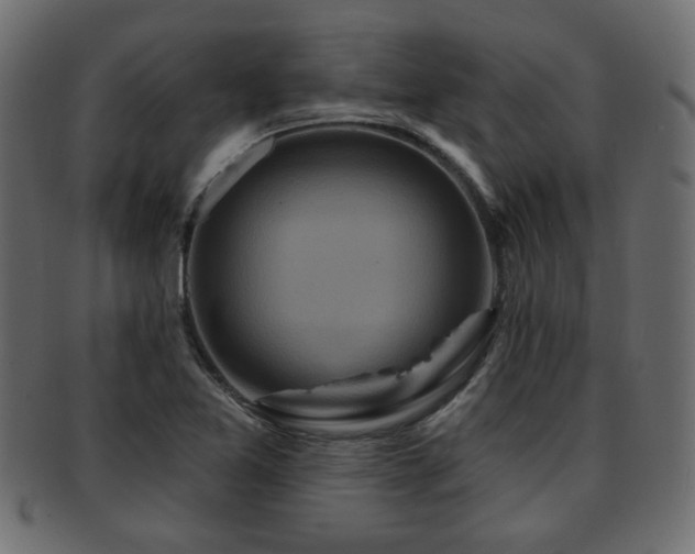 X0000093251365200709261711