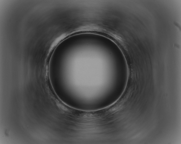 X0000093251366200709261711