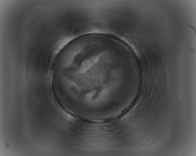 X0000093251367200709261711
