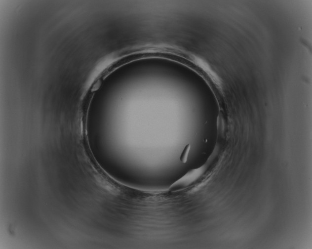 X0000093251368200709261711