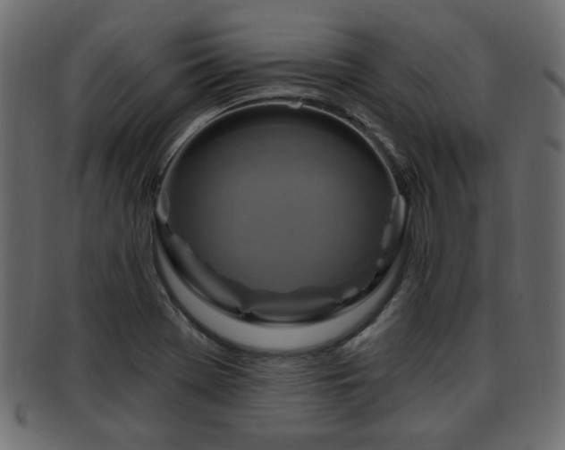 X0000093251369200709261711
