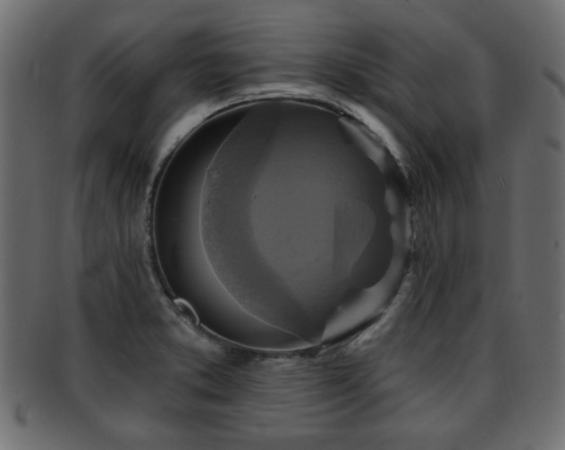 X0000093251373200709261711