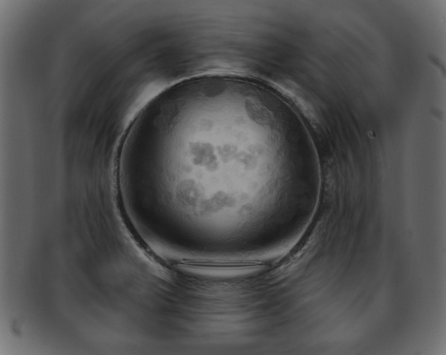 X0000093251375200709261711