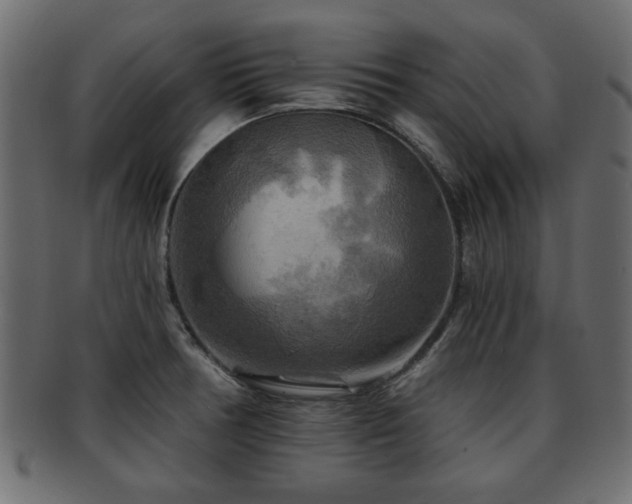 X0000093251378200709261711