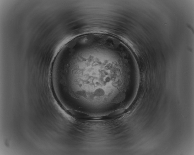 X0000093251379200709261711