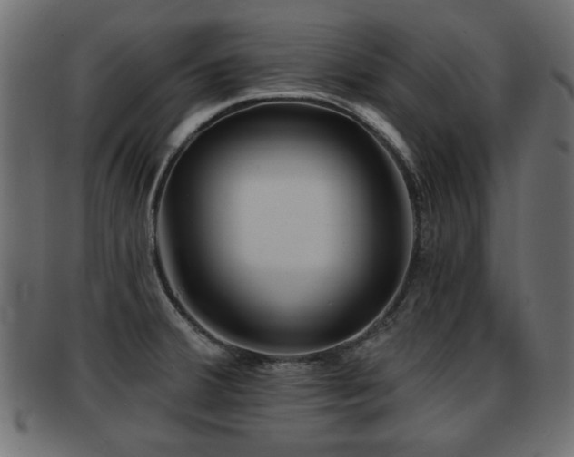 X0000093251380200709261711