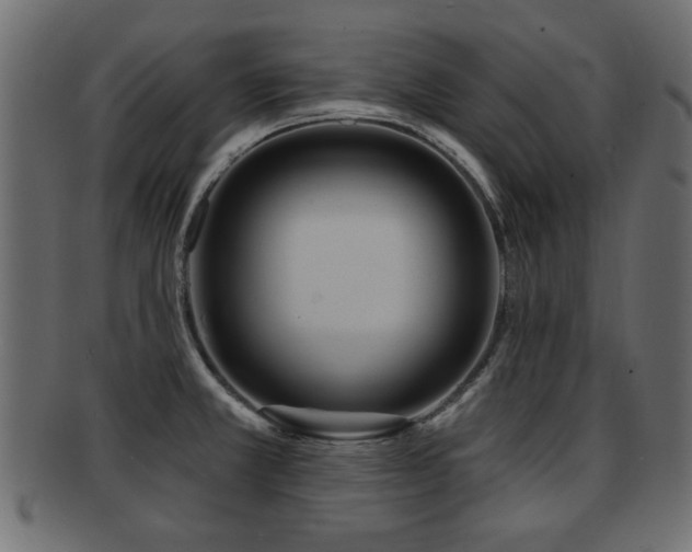 X0000093251381200709261711