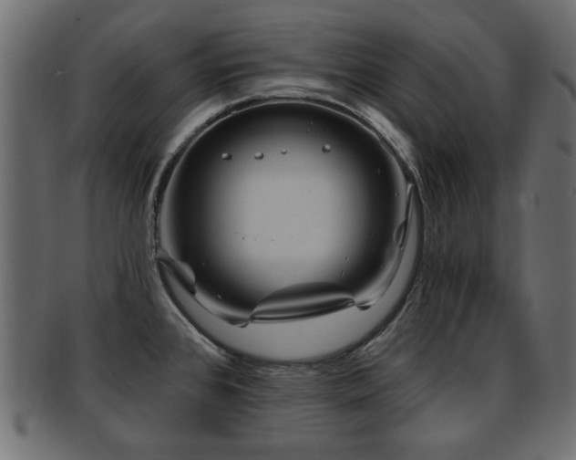 X0000093251384200709261711