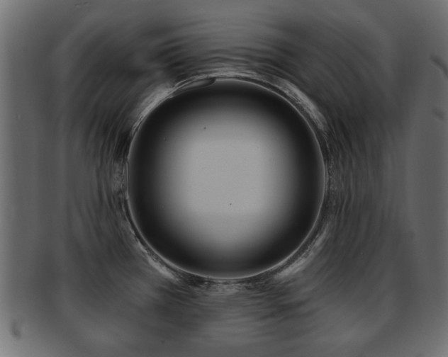 X0000093251385200709261711