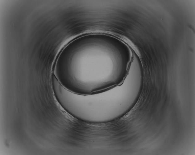 X0000093251388200709261711