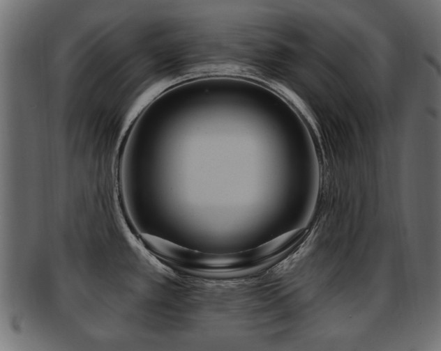 X0000093251389200709261711