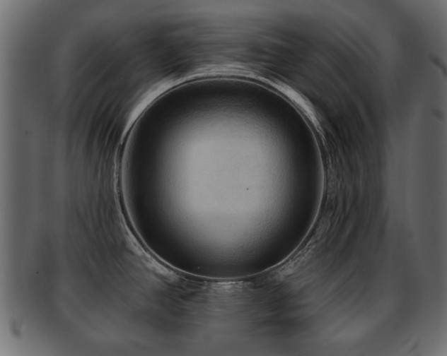 X0000093251390200709261711