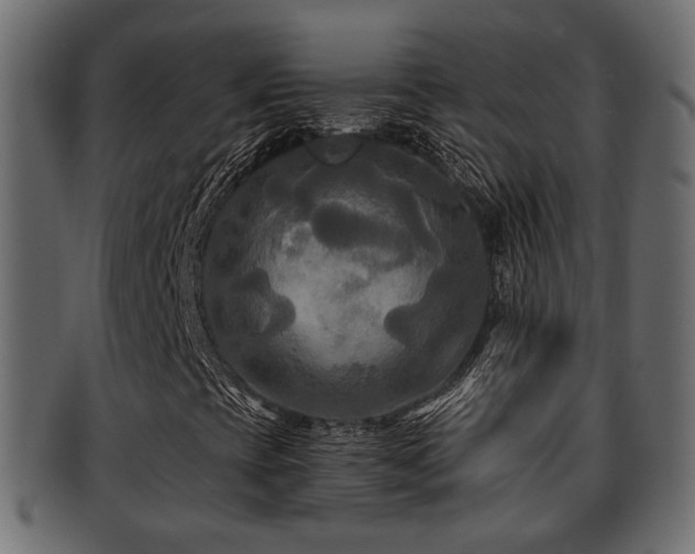 X0000093251393200709261710