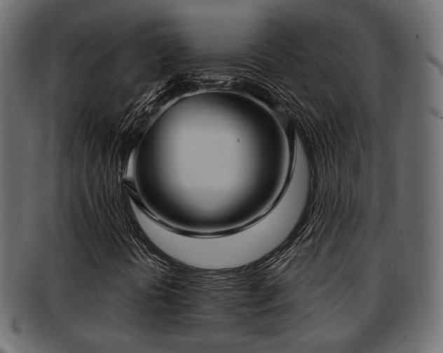 X0000093251394200709261710