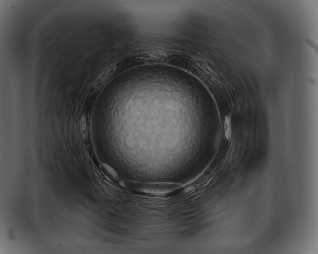 X0000093251395200709261710