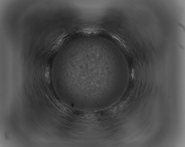 X0000093251396200709261710