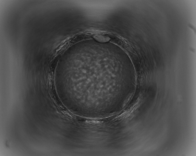 X0000093251397200709261710