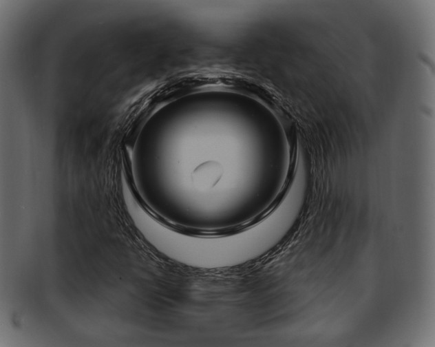 X0000093251398200709261710