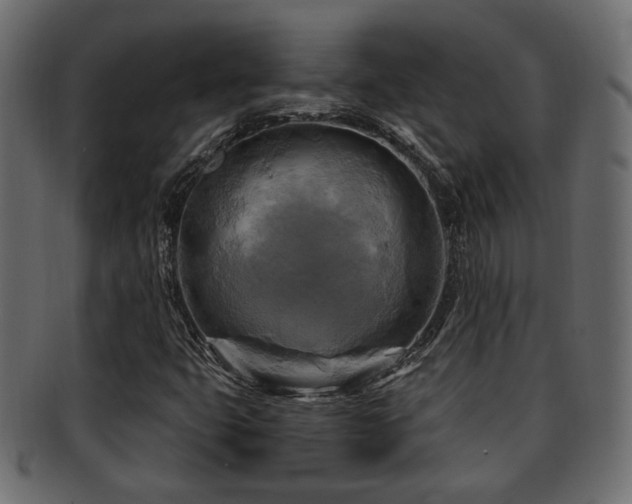 X0000093251399200709261710