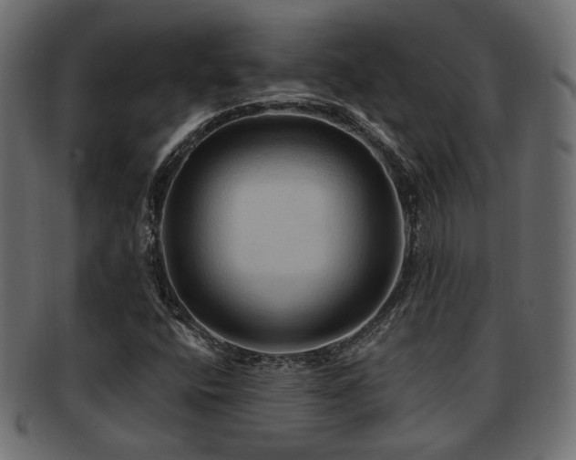 X0000093251400200709261710