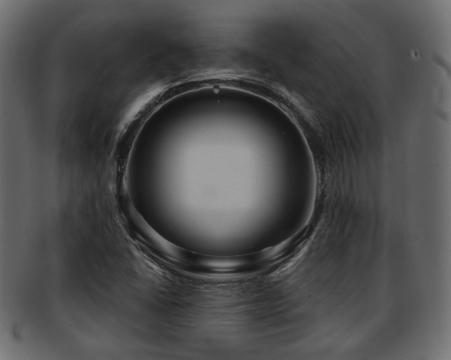 X0000093251406200709261710