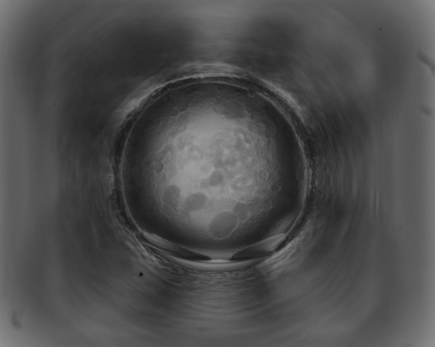 X0000093251407200709261710