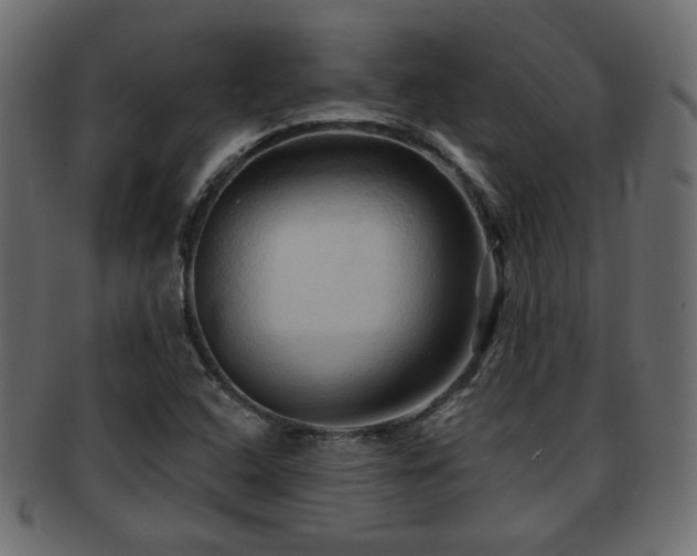 X0000093251408200709261710