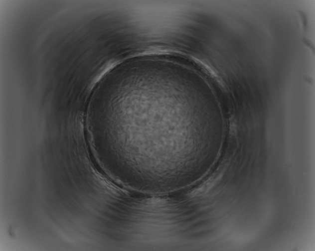 X0000093251409200709261710