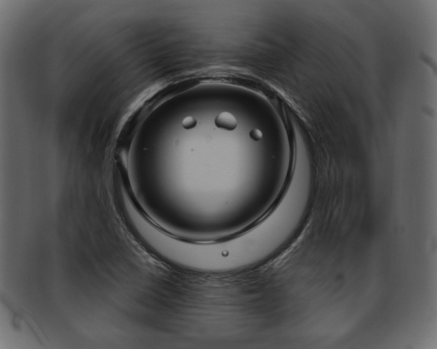 X0000093251410200709261710