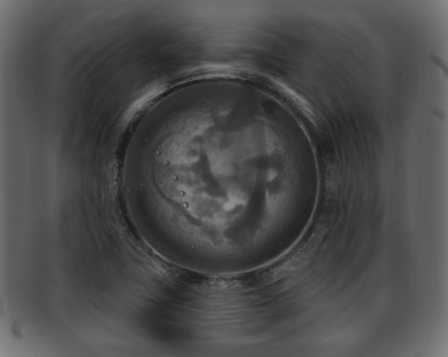 X0000093251411200709261710