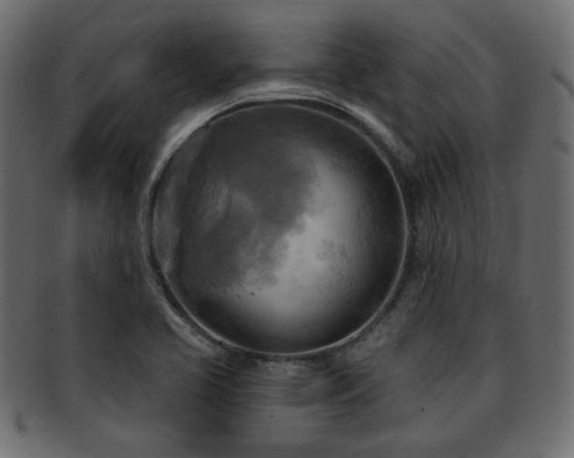 X0000093251413200709261710