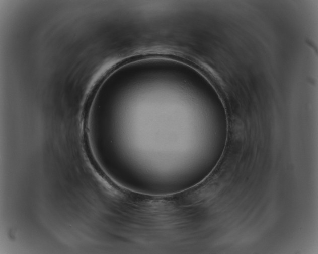 X0000093251416200709261710