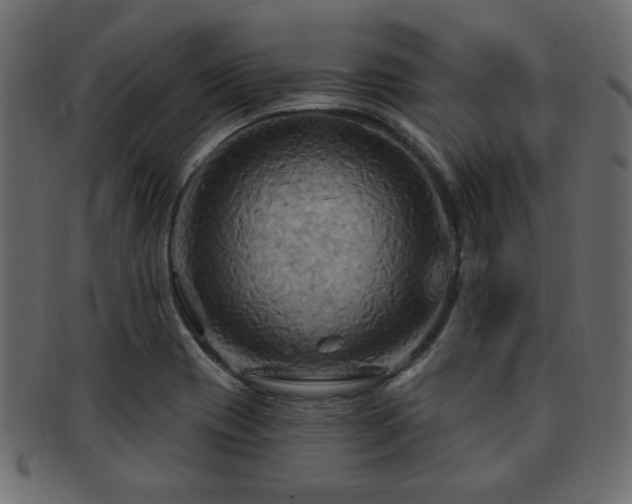 X0000093251417200709261710