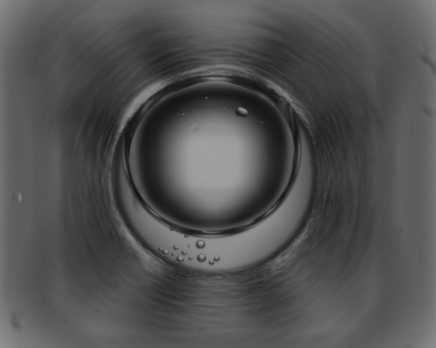 X0000093251418200709261710