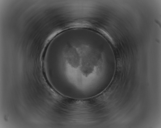 X0000093251419200709261710