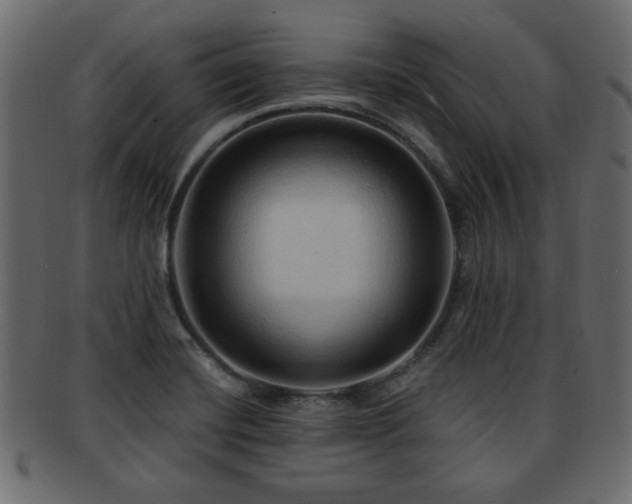 X0000093251420200709261710