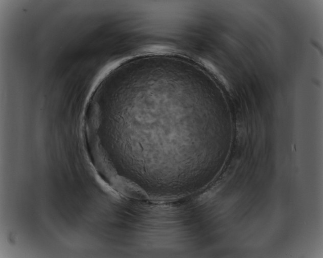 X0000093251421200709261710