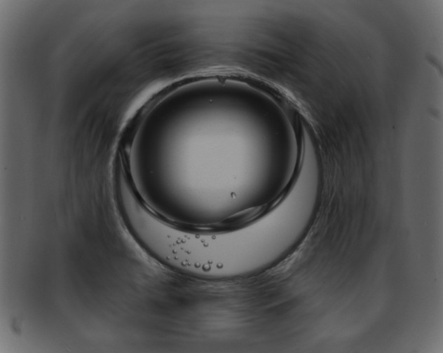 X0000093251422200709261710
