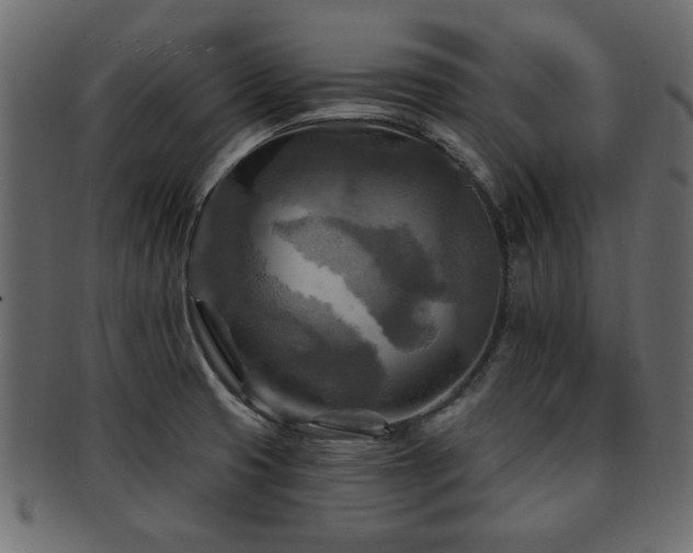 X0000093251425200709261710