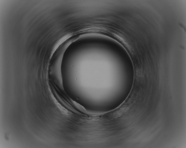 X0000093251426200709261710